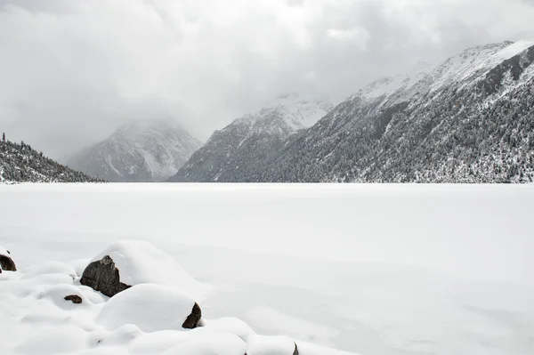 Nieve paisaje — Foto de Stock