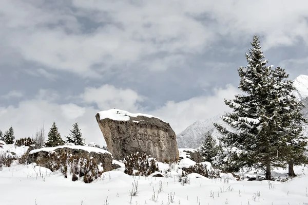 Nieve paisaje — Foto de Stock