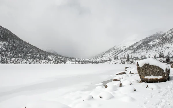 Paesaggio neve — Foto Stock