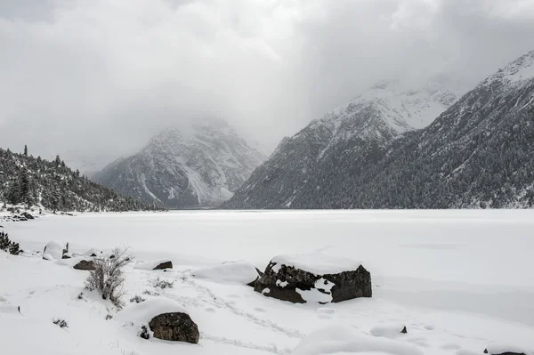Nieve paisaje — Foto de Stock