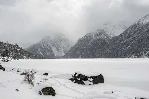 Snow pejzaż — Zdjęcie stockowe