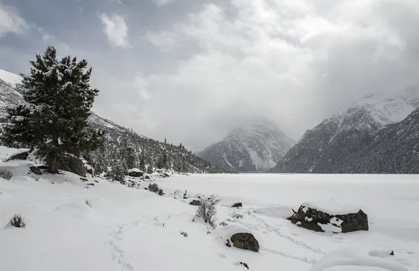 Snö landskap — Stockfoto