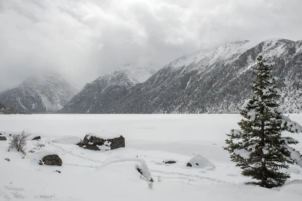 Snow landscape — Stock Photo, Image