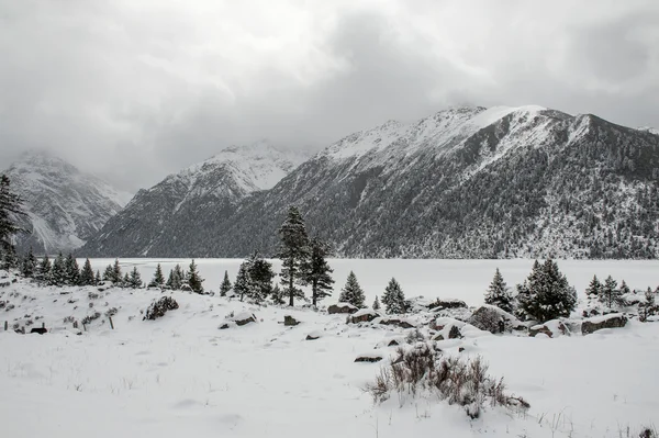 Paesaggio neve — Foto Stock