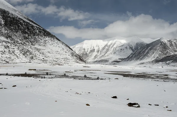 Snow landscape — Stock Photo, Image