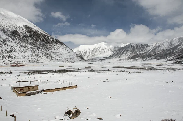 Snow landscape — Stock Photo, Image