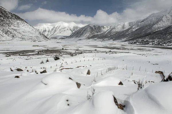 Paesaggio neve — Foto Stock