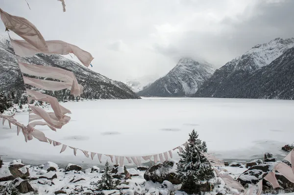 Snow krajina — Stock fotografie