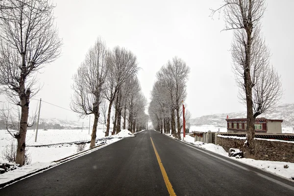 Snow landscape — Stock Photo, Image