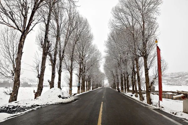 雪景观 — 图库照片