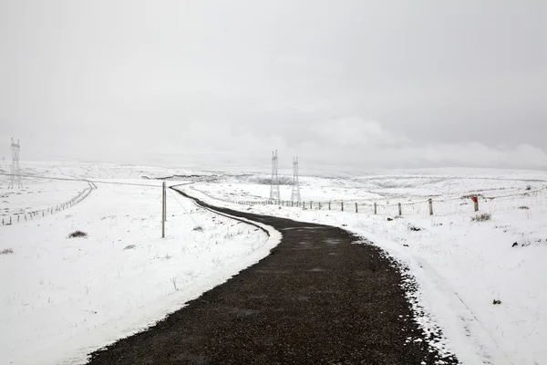 Snow landscape — Stock Photo, Image