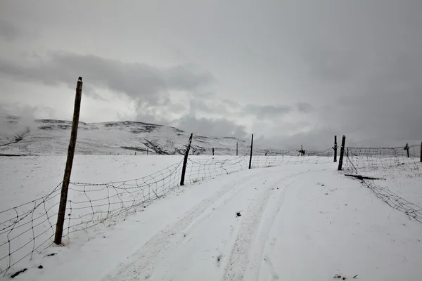 Snow krajina — Stock fotografie