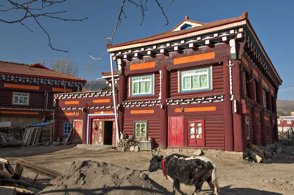 Tibetanska residence — Stockfoto