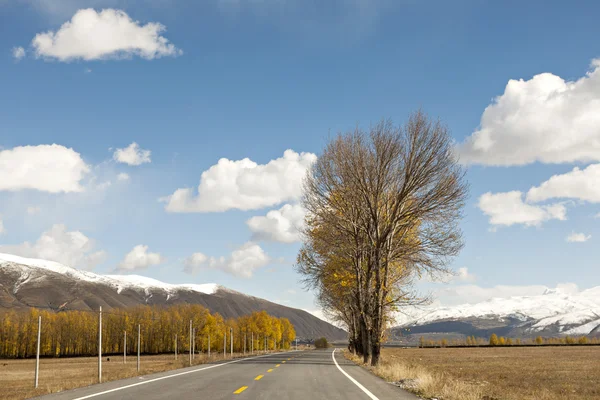 Colore autunno — Foto Stock