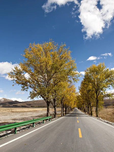 Color de otoño —  Fotos de Stock