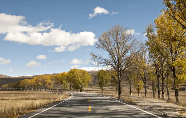 Colore autunno — Foto Stock