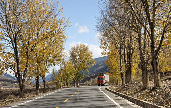 Autumn color — Stock Photo, Image