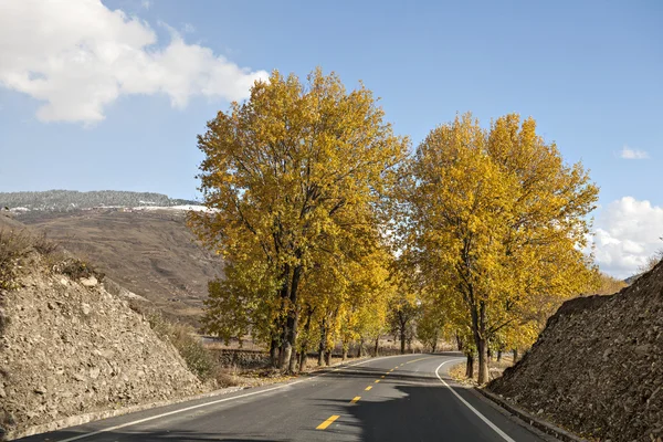 Herfst kleuren — Stockfoto