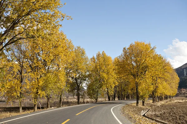 Herfst kleuren — Stockfoto