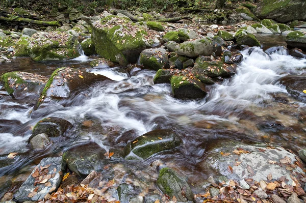 Landskap — Stockfoto