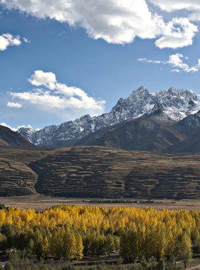 manzara--sonbahar renk.