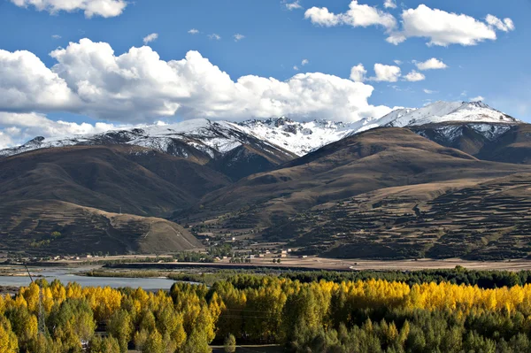 Colore paesaggio-autunno . — Foto Stock