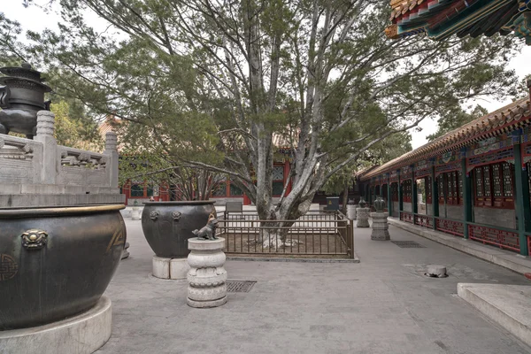 中国古代ロイヤル ガーデン — ストック写真