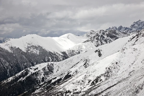 Landscape — Stock Photo, Image