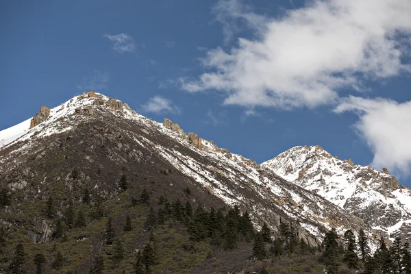 Landschaft — Stockfoto