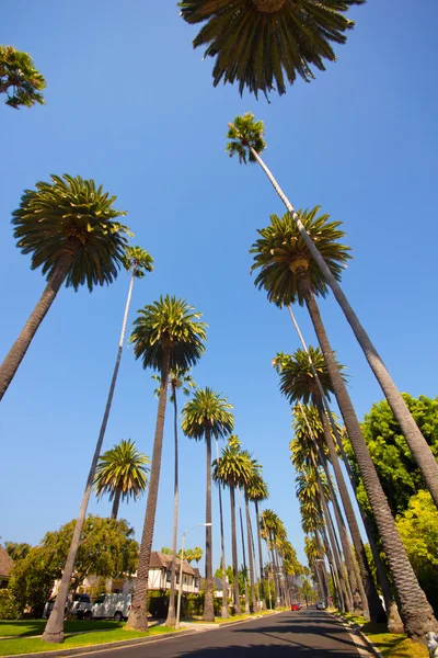 Beverly hills — Fotografia de Stock