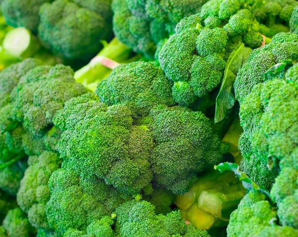 Broccoli — Stockfoto