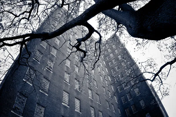 キングス ・ パーク ニューヨークの精神医学 — ストック写真