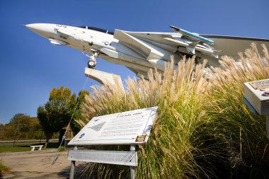Grumman F-14