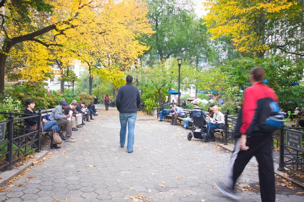 Madison Square Park Nyc — Stockfoto