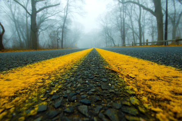 寒い道路 — ストック写真