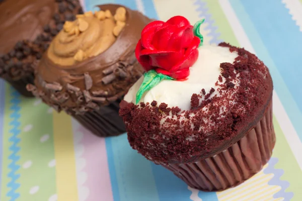 Gourmet Cupcakes — Stock Photo, Image