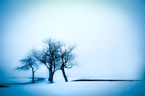 Vinter — Stockfoto