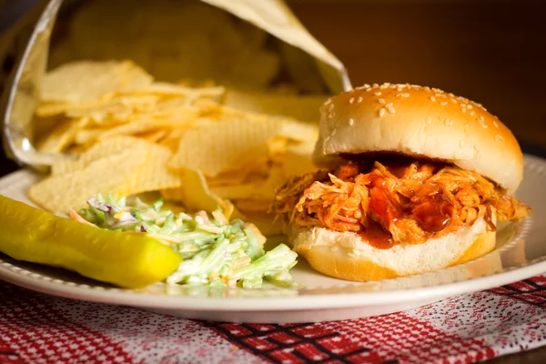 Pulled Pork Sandwich — Stock Photo, Image