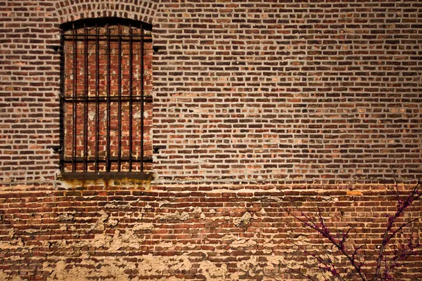 Window and brick — Stock Photo, Image
