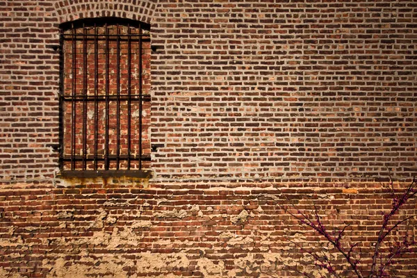 Ventana y ladrillo — Foto de Stock