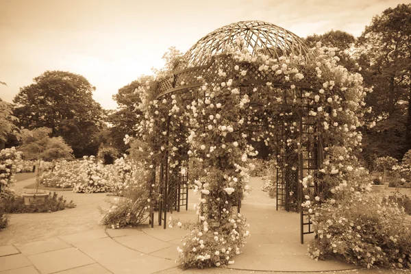 Rose Gazebo — Stock Image Rose Gazebo Stock Photo