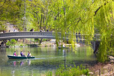 Central Park'a nyc
