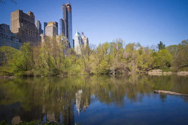 Central park New York City – stockfoto