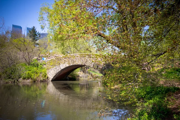 Central Park Nyc — Stockfoto