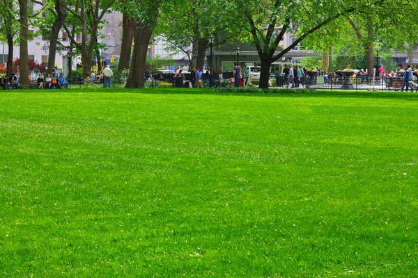 草坪麦迪逊广场公园 nyc — 图库照片