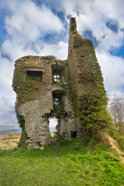 Mittelalterliche Burgruinen in carrigognunnel irland — Stockfoto