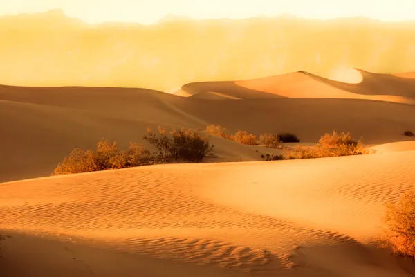 Woestijnzonsondergang — Stockfoto