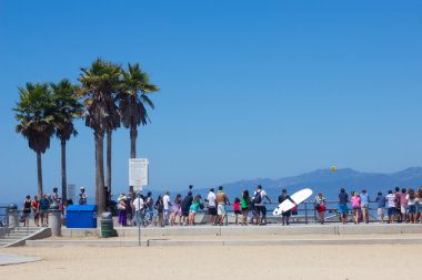 Venice Beach Ca