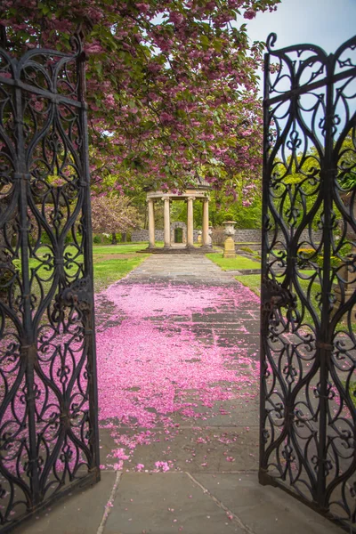 Primavera cena jardim — Fotografia de Stock