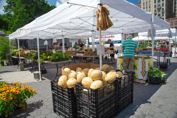 Greenmarket фермерів ринок Нью-Йорку — стокове фото